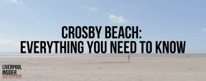 Read more about the article Crosby Beach: Everything You Need To Know