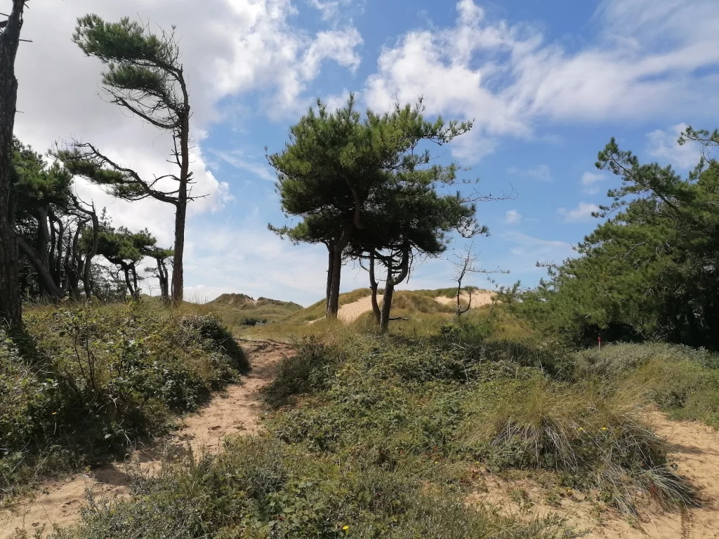 Formby Beach From Fishermans Path