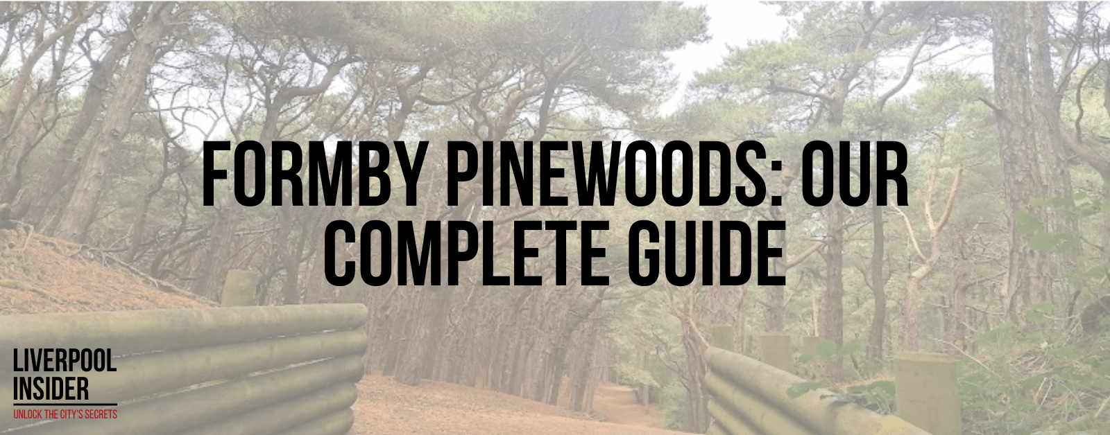 You are currently viewing Formby Pinewoods: Our Complete Guide